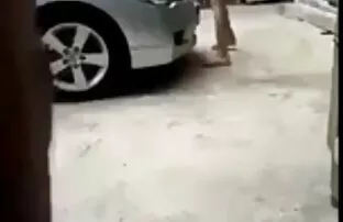 A masztis videok nők erotikus ruha, kakas