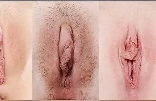 Fehér kutya trükk fiúk jo sex videok farkát a száját horog